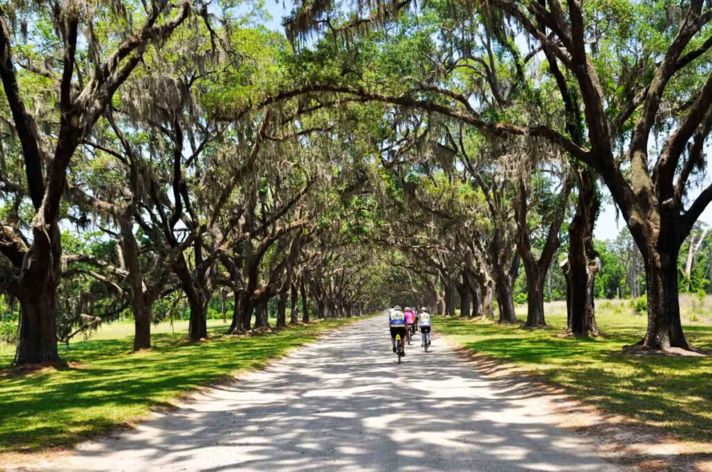 Savannah-to-Charleston-Bike-Tour