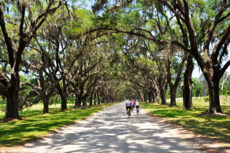 Bike Tour Savannah and Charleston