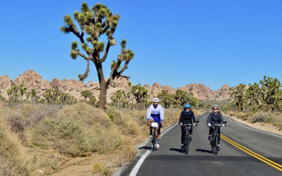 Bike-and-Barge Bike tours